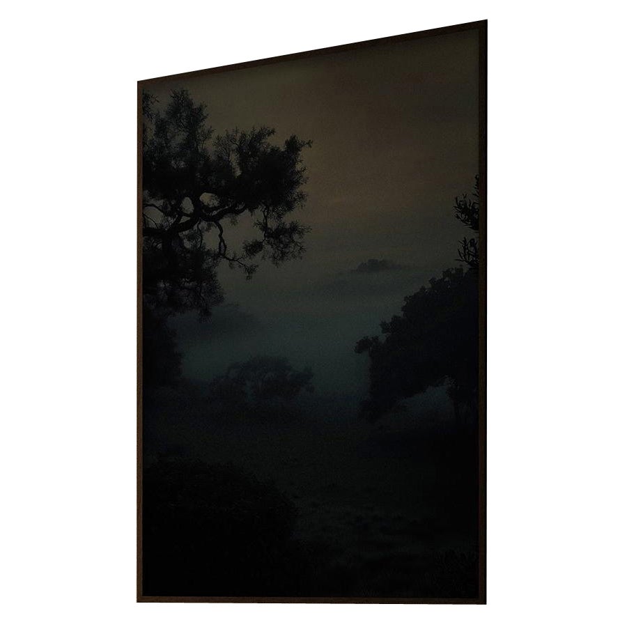 Otaru Limited Edition Art Photograph Large -  40" x 60"