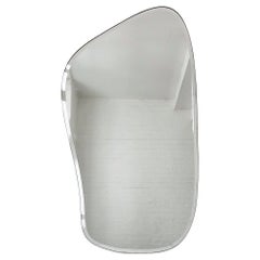Freeform D Bevelled Mirror with Minimalist Brass Frame