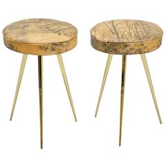 Italian Pair of Stools with Forest Print Seats, 1950
