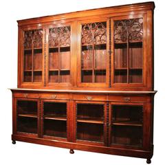 Antique Charles X Period French Library Bookcase in Rosewood