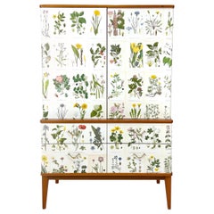 Cabinet suédois des années 1950 avec illustrations de Nordens Flora