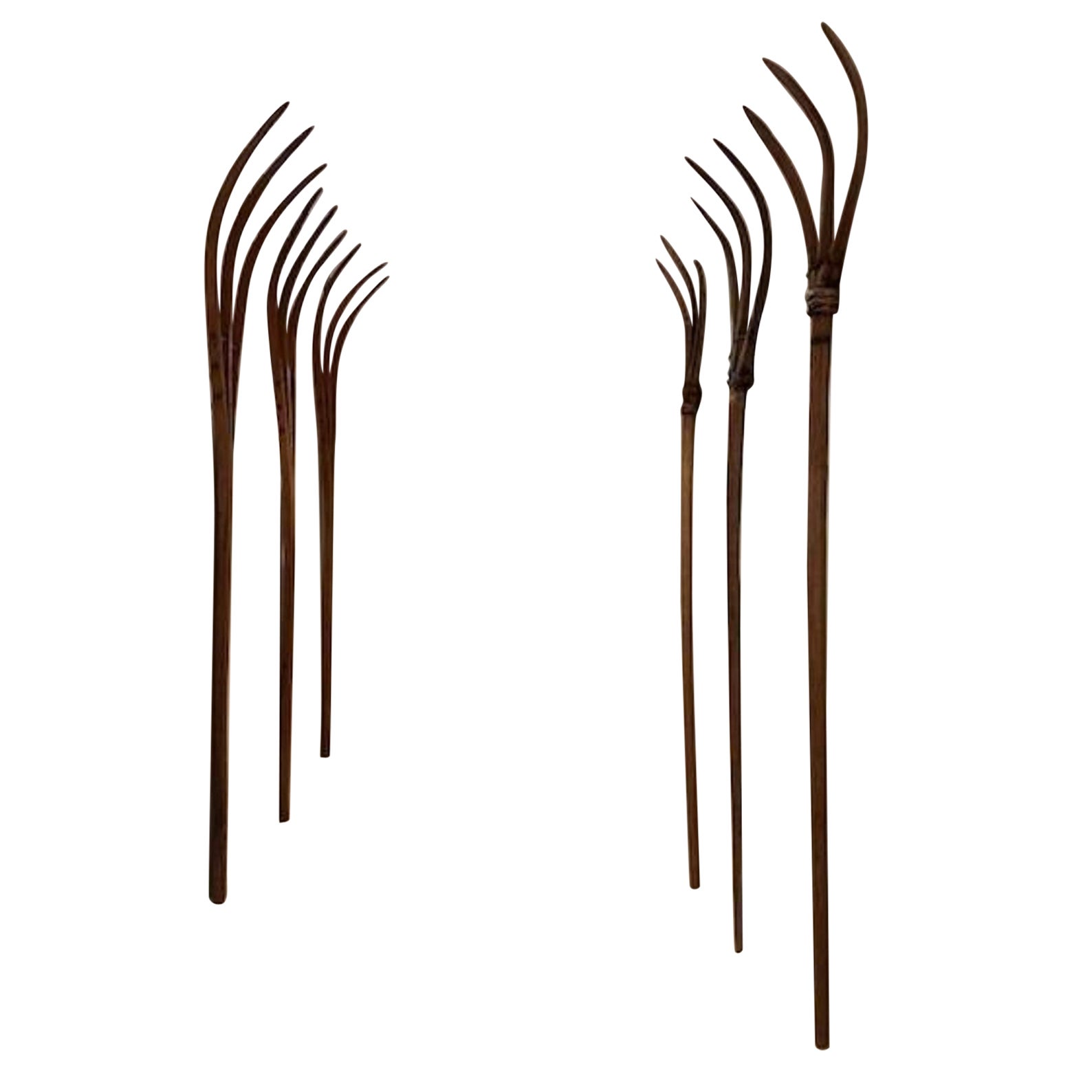 Collection'S di forchette da fieno primitive in legno di pino europeo in vendita