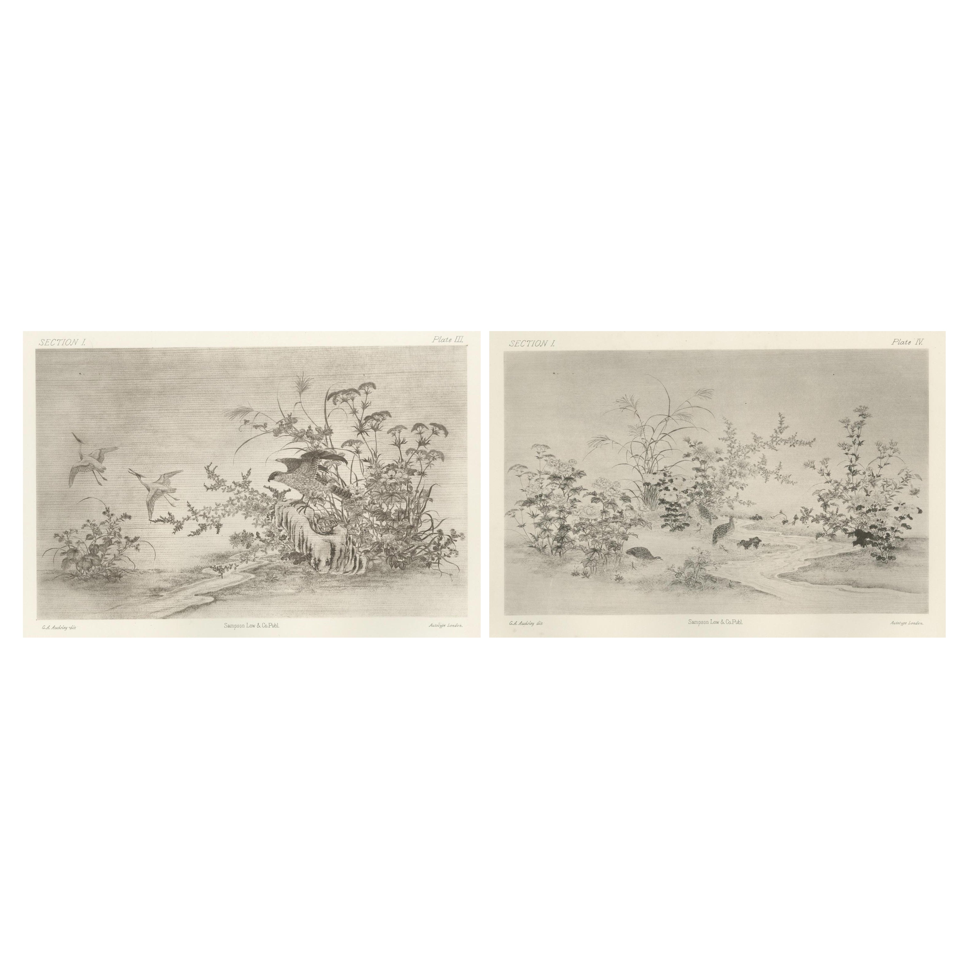 Japanese Nature Scene Prints: Delicate 19th-Century Botanical & Bird Etchings