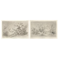 Antique Japanese Nature Scene Prints: Delicate 19th-Century Botanical & Bird Etchings
