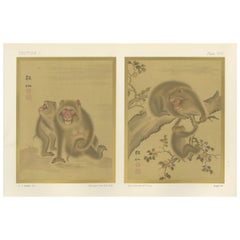 Antique Japanese Monkey Prints: Serene 19th-Century Nature Studies with Peaches