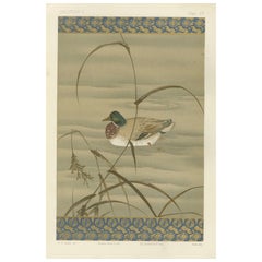Antiguo Grabado Japonés de Aves Acuáticas: Pato tranquilo entre juncos, Siglo XIX
