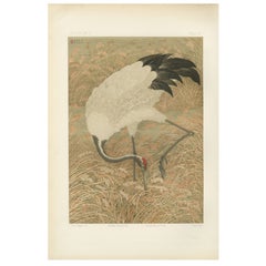 Antique Japanese Crane Print: Serene Scene in Grassy Marsh, 19th Century