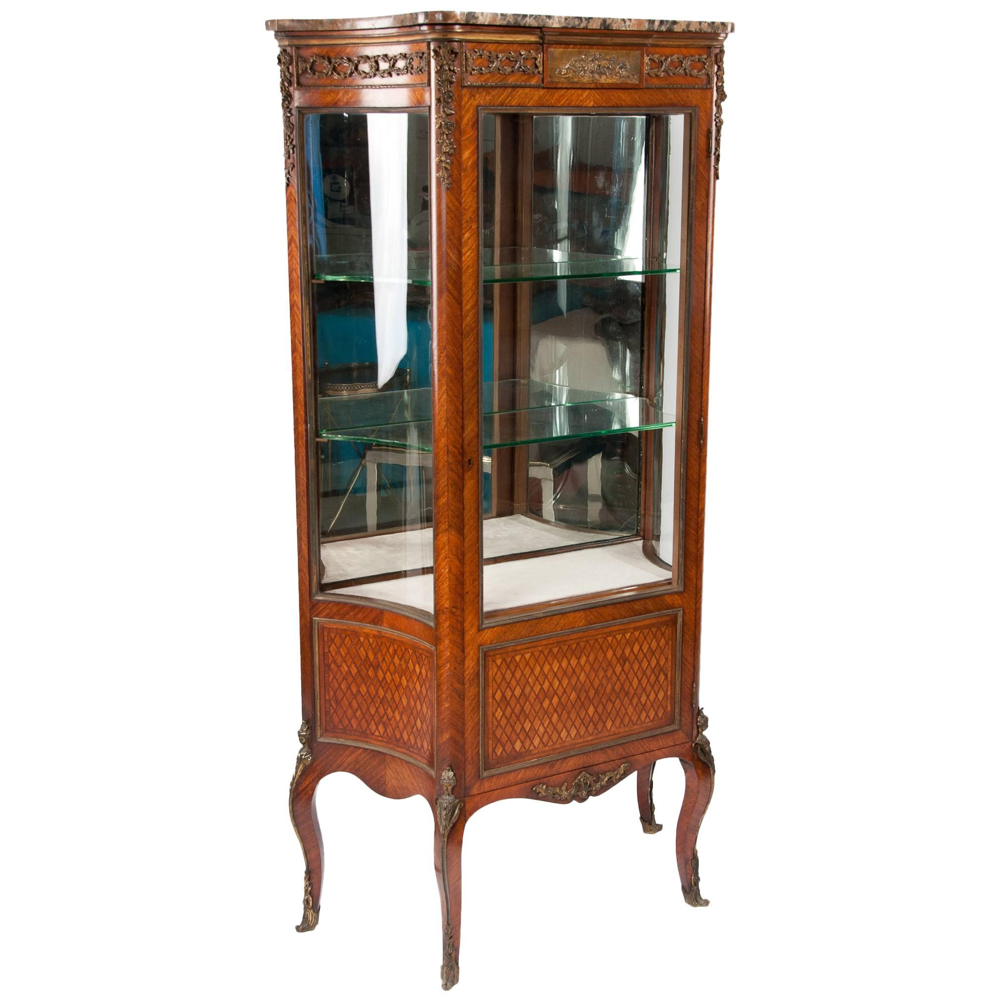 Exceptional Kingwood 19th Century Parquetry Concave Shape Vitrine