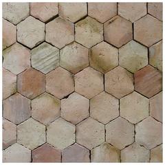 Antique 19th Century French Hexagon Rose Terra Cotta Flooring
