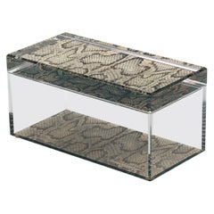 Caja acrílica del tesoro Alexandra Von Furstenberg con estampado de serpiente - Caja grande