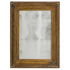 19th Century French Gilded Wood Mirror