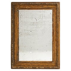 19th Century French Gilded Wood Mirror