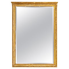 19th Century French Gilded Wood Mirror