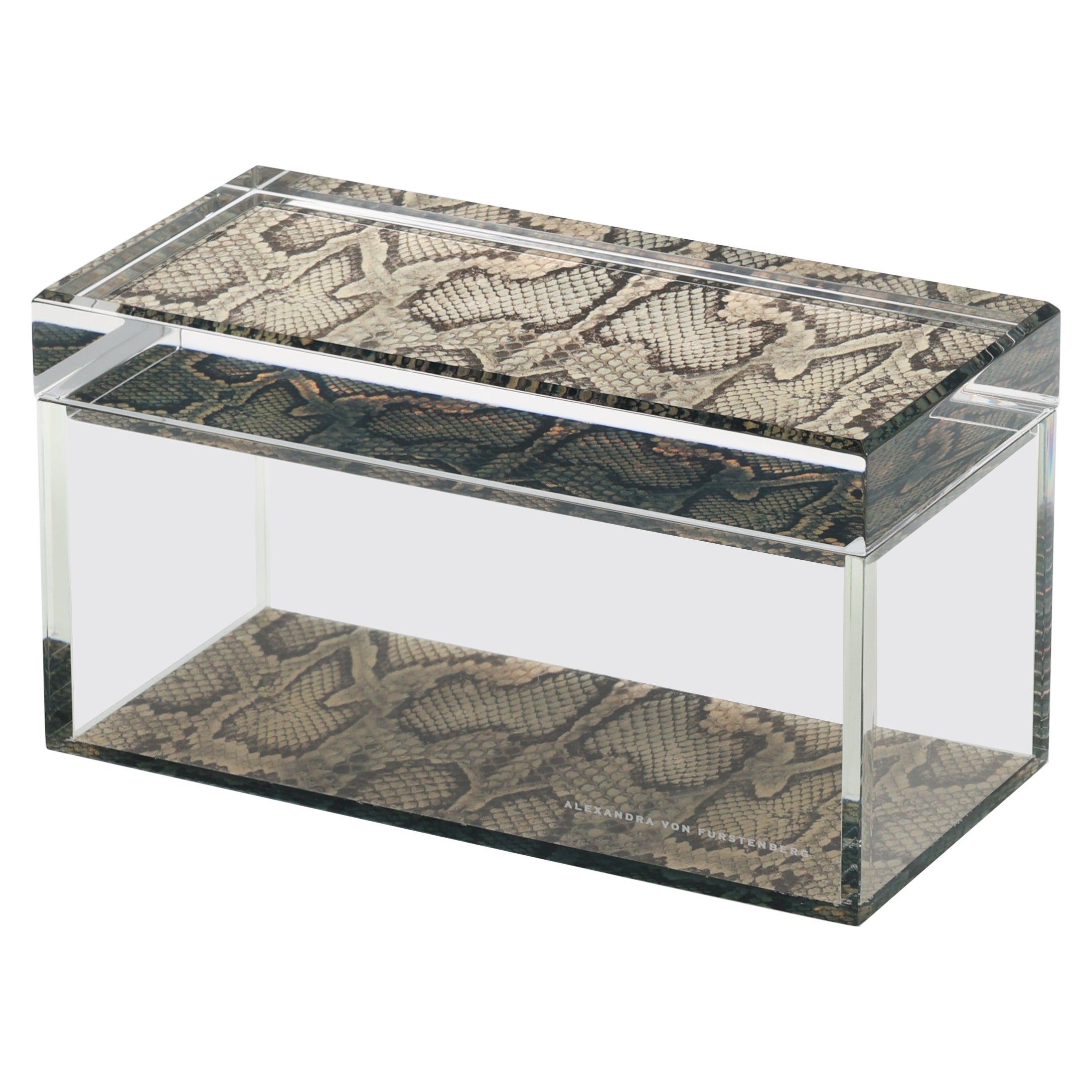 Caja del tesoro acrílica con estampado de serpiente Alexandra Von Furstenberg Caja de almacenamiento mediana