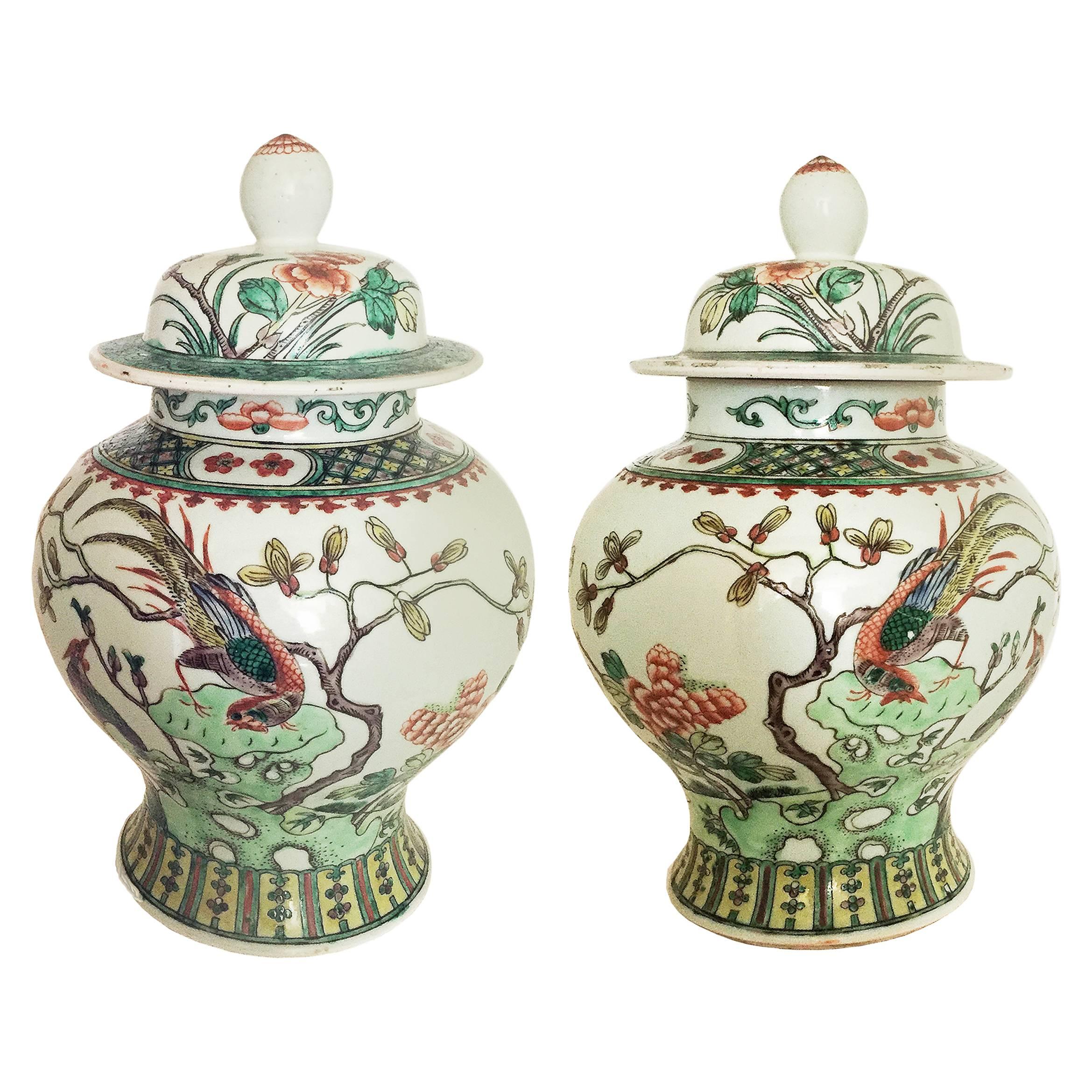 Samson Porcelain Famille Verte Wucai Pair of Jars and Covers For Sale