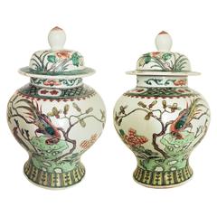 Samson Porcelain Famille Verte Wucai Pair of Jars and Covers