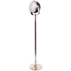 Rare Sergio Mazza Floor Lamp
