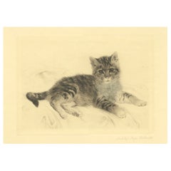 Antique Cat Etching by Kurt Meyer-Eberhardt – Estate Edition – Posthumous 1977