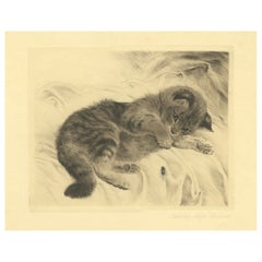 Charming Kitten Etching by Kurt Meyer-Eberhardt – Estate Edition 1977