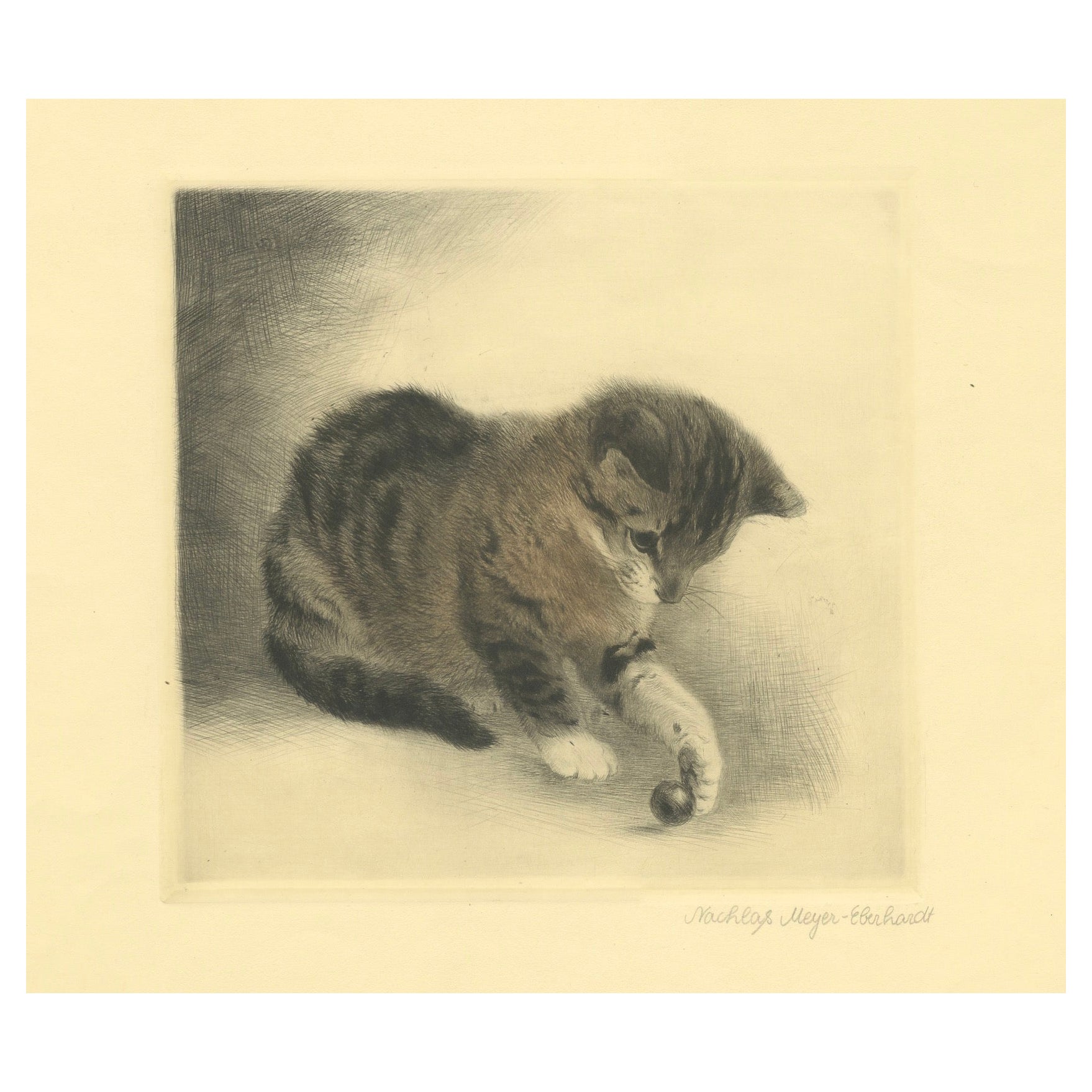 Gatito jugando con una canica - Grabado de Kurt Meyer-Eberhardt, 1977 Patrimonio