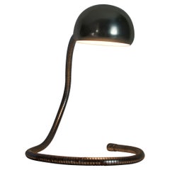 Adjustable Chrome Flex Arm Table Lamp, Italy, 1960s