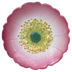Antique French Majolica Wild Rose Plate Delphin Massier Circa 1890