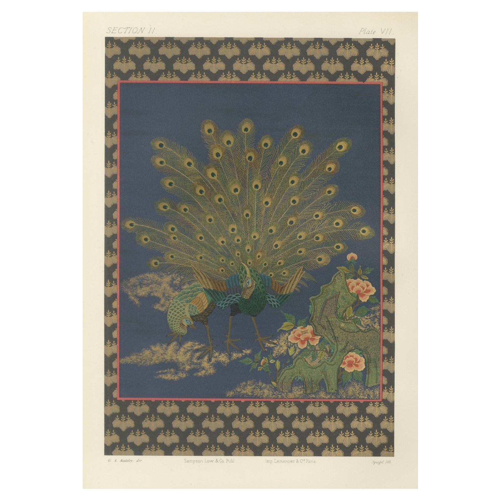 Japanese Peacocks in Full Plumage: Antique Lithograph, 1880s
