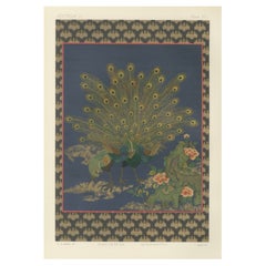 Japanese Peacocks in Full Plumage: Antique Lithograph, 1880s
