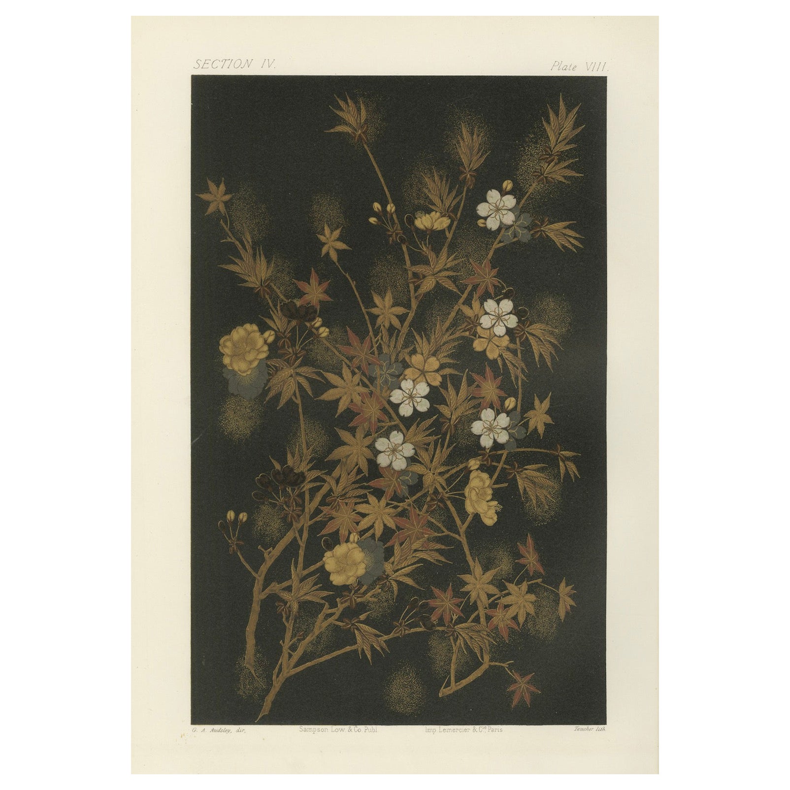 Japanese Autumn and Spring Flowers: Antique Lithograph, 1880s