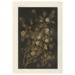 Japanese Autumn and Spring Flowers: Antique Lithograph, 1880s