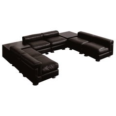 Valeria Borsani & Alfredo Bonetti "D120" Modular Sofa for Tecno, 1966, Set of 6