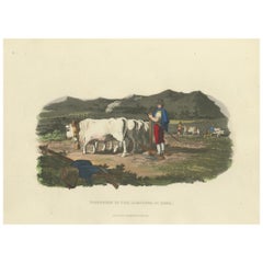 Antique Agricultural Print: Ploughing in the Campagna di Roma, 1820s - Hand-Colored