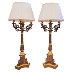 A fine pair of 19th century French Charles X period bronze candelabra lamps