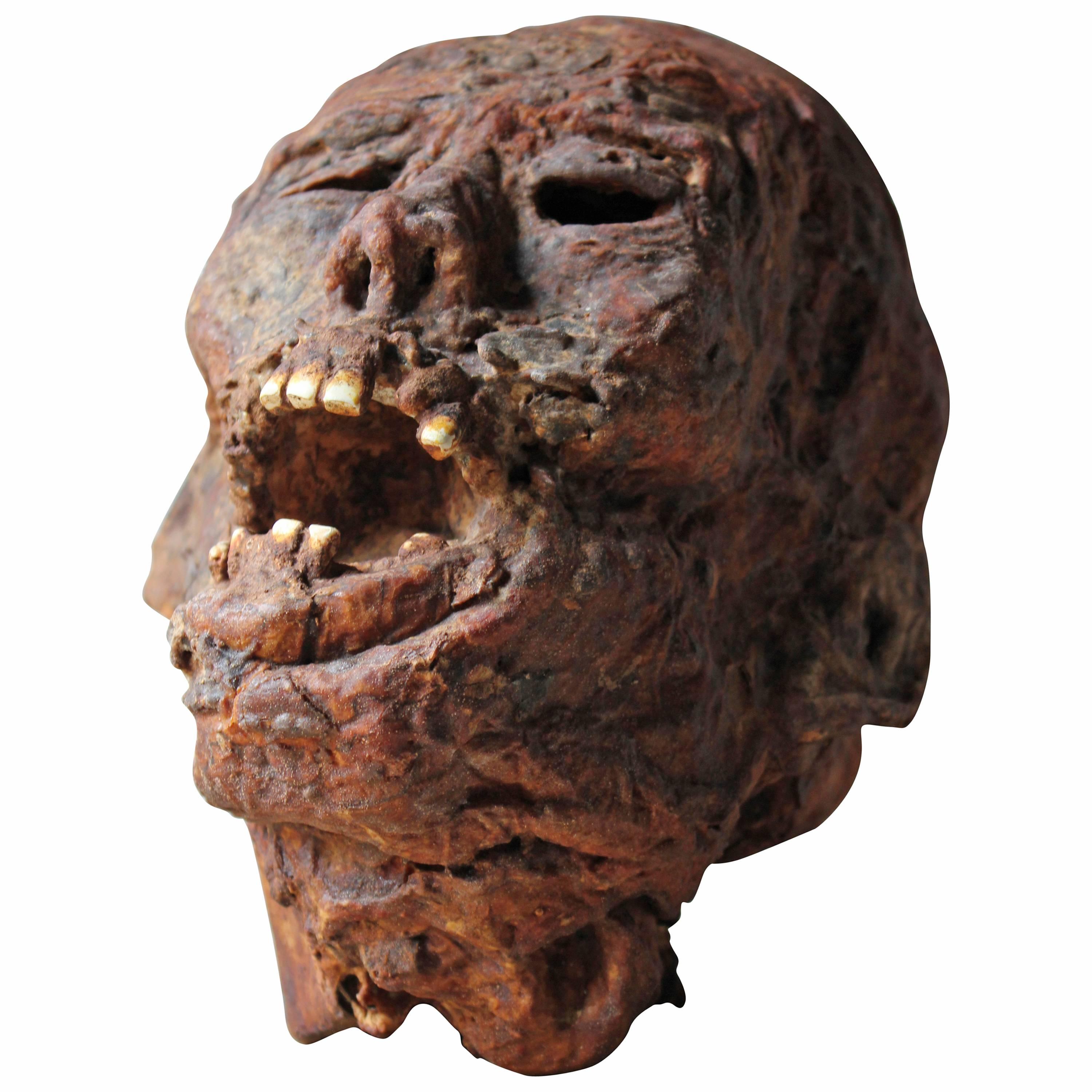 Superbly Modelled Mummified Head Film Prop by Alan Friswell
