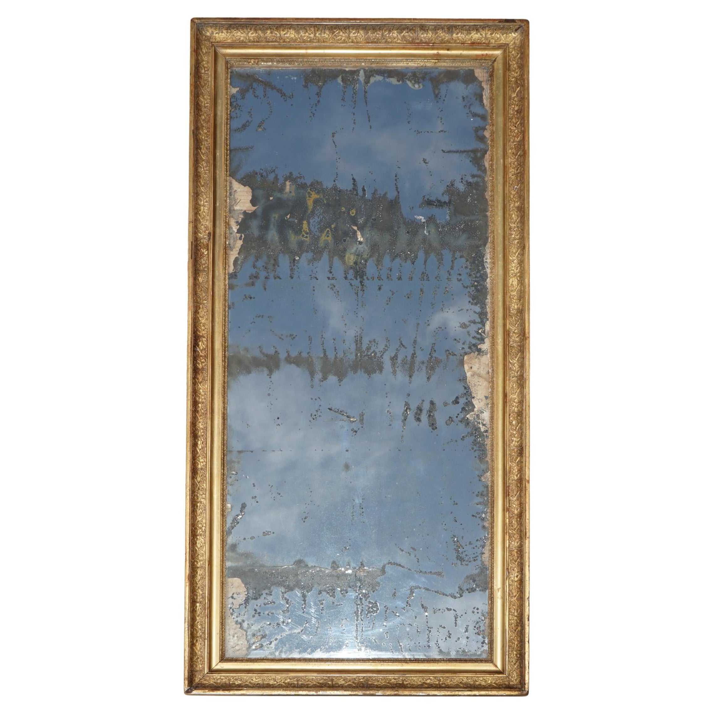 ANTiQUE ORIGINAL FOXED GLASS PLATE CIRCA 1820 LARGE FRENCH GESSO OAK WALL MIRROR