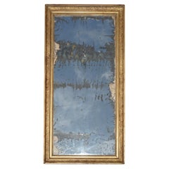 ANTiQUE ORIGINAL FOXED GLASS PLATE CIRCA 1820 LARGE FRENCH GESSO OAK WALL MIRROR