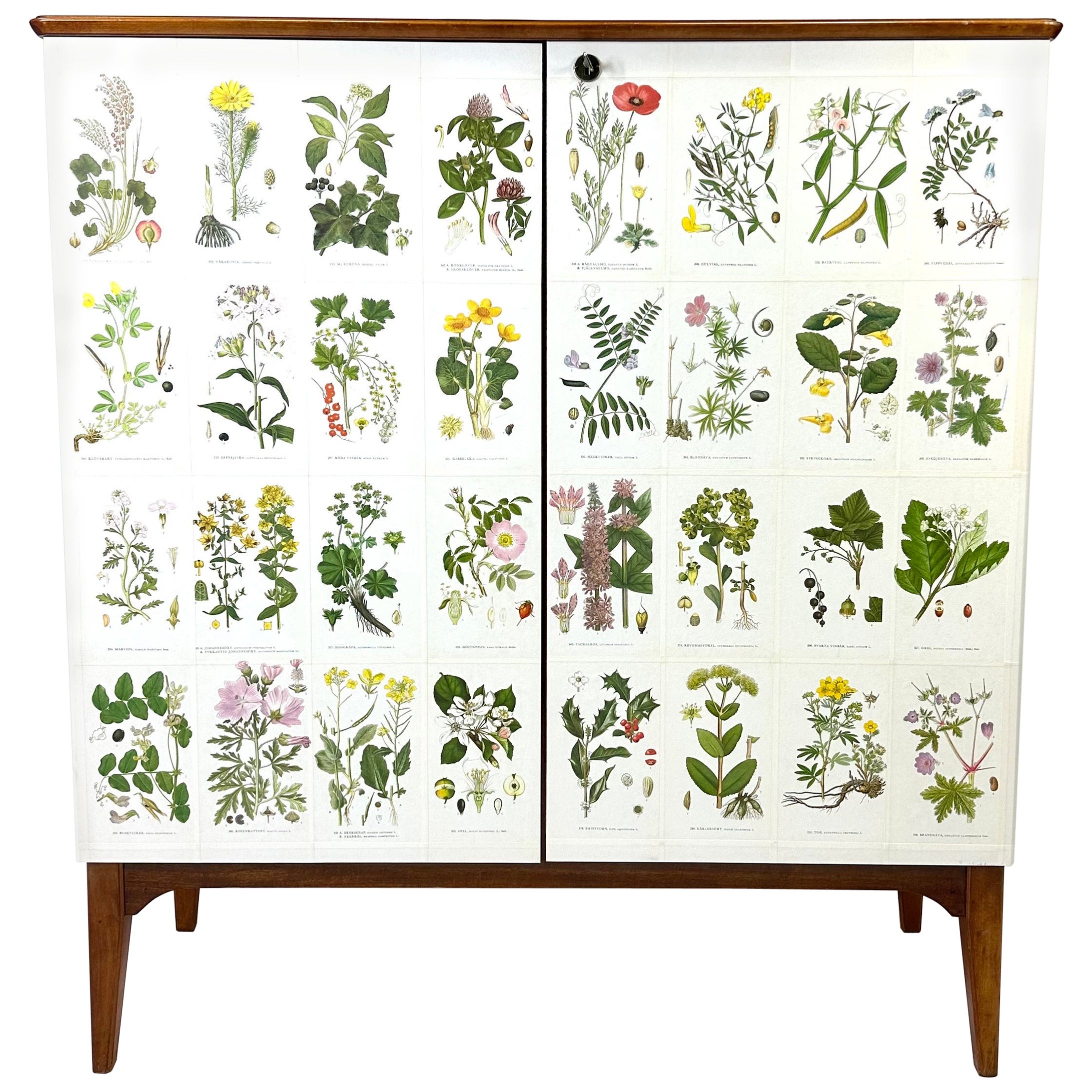 Armario sueco de los años 50 con ilustraciones de Nordens Flora en venta