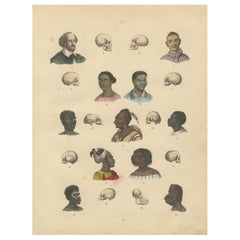 Anthropology and Skull Comparison Print by T Bromme, 1865 Ethnographic Atlas