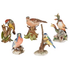 Collection of Five Bisque Porcelain Bird Models