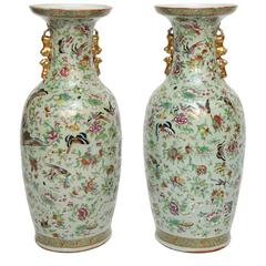 Superb Pair of 19th Century Celadon Painted Vases