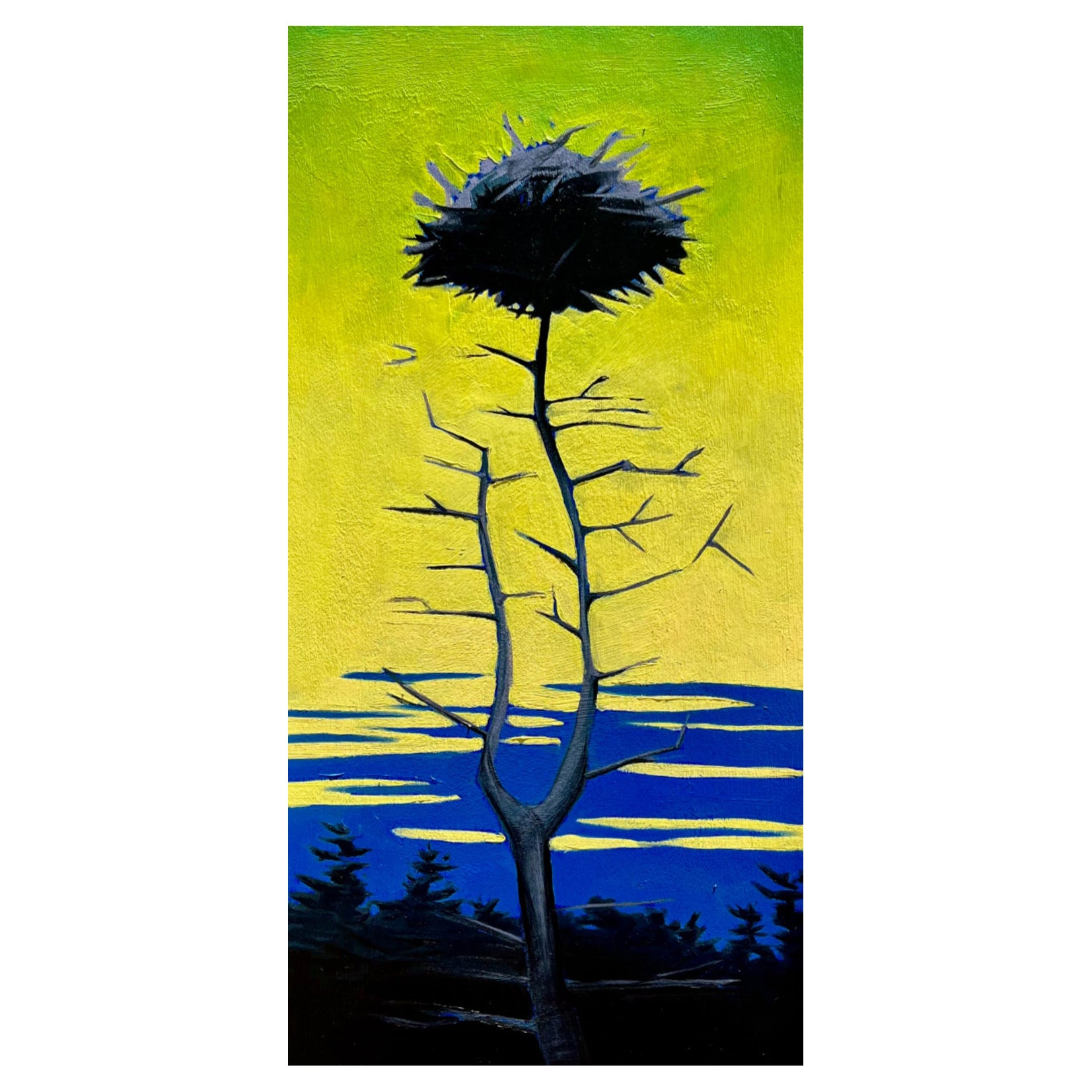 Osprey Nest by James Mattinson, 12x24, Oil on Wood Canvas, 2024