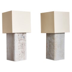 Pair of Tall Willy Guhl Table Lamps