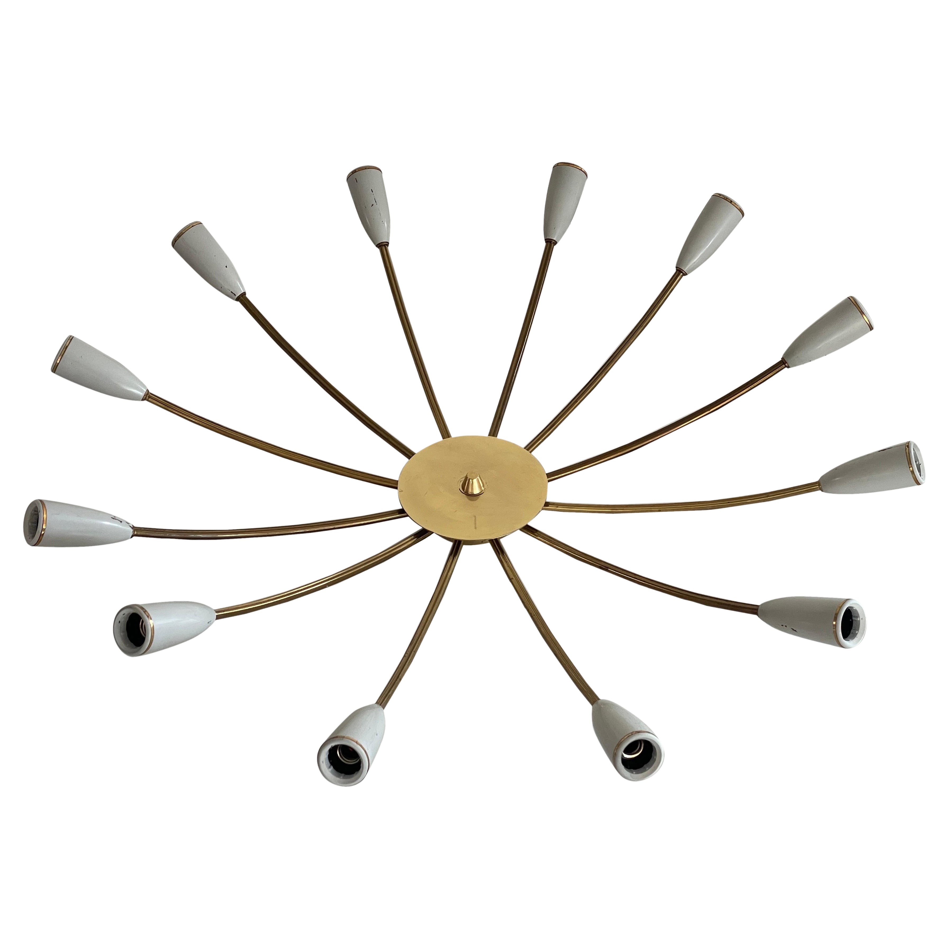 Mid-century Gray Metal and Brass Body 12-armed Ceiling Lamp, 1950s, Germany