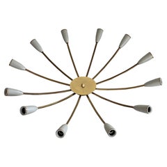 Mid-century Gray Metal and Brass Body 12-armed Ceiling Lamp, 1950s, Germany