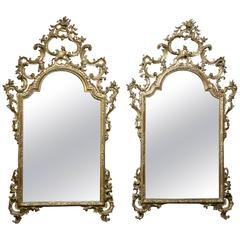 Pair of 19th Century Italian Rococo Giltwood Mirrors 6