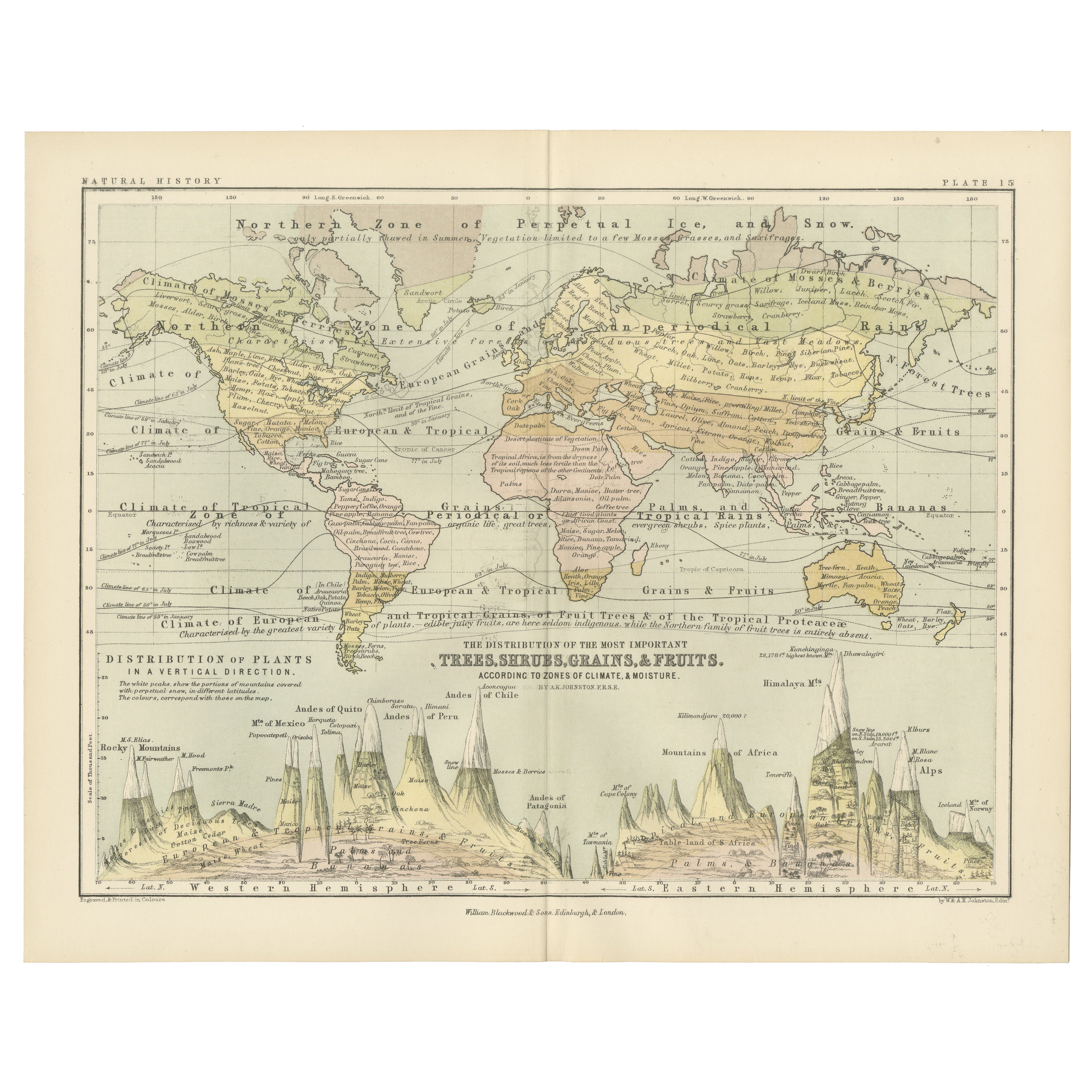 Botanical Map by A.K. Johnston – Global Plant Distribution Chart 1852