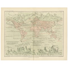 Antique Animal Distribution Map by A.K. Johnston – Fauna by Climate Zones 1852