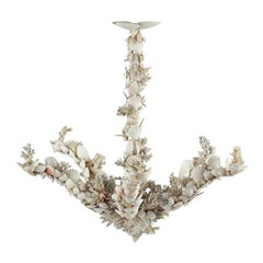 Vintage Italian "Grotto" Chandelier Encrusted with Sea Shells and Coral