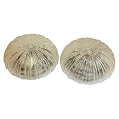Pair of Petite Clear Glass Flush Mount Ceiling Light Guro Leuchten, Germany 1960