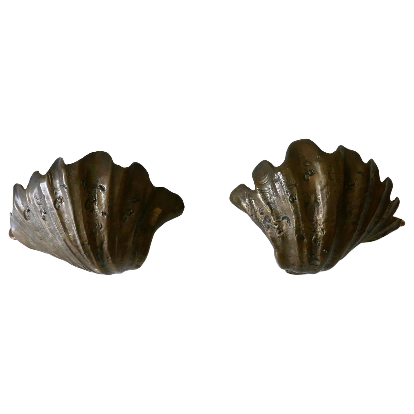 Set of Two Rare Mid Century Modern Cast Bronze Sea Shell Sconces Germany 1960s